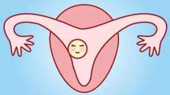 广州染色体有问题可以做试管吗