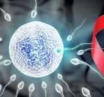 南京妇幼保健院三代供卵试管成功率预估[江苏试管婴儿]