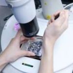 上海同济医院试管成功率 上海同济医院试管排名