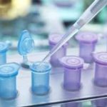 普及一下!拉萨染色体有问题可以做试管吗? 普及一下!拉萨染色体有问题可以做试管吗?