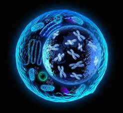 (北京试管成功率)北京301医院试管婴儿成功率怎么样[北京试管婴儿]