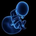 左右两侧一共有多少卵泡是正常 左右两侧一共16个卵泡