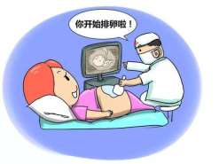 国内医院试管冷冻和解冻胚胎一次费用大概需要多少钱？