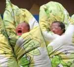 做试管要注意什么问题[做试管要什么卵泡]