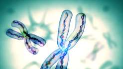 福州先天性卵巢早衰哪家试管医院好，