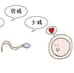 河北生殖妇产医院和市四院什么关系[河北试管婴儿]