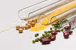 西安高龄供卵风险