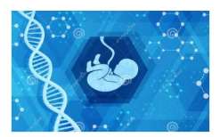 [2023辽宁中医三院试管婴儿费用]辽宁中医三院热点疑问解答