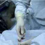 (河北省二院医院试管医生)石家庄哪个试管专家成功率高[河北试管婴儿]