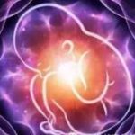孕前专科检查(女性孕前常规体检) 孕前专科检查(女性孕前常规体检)