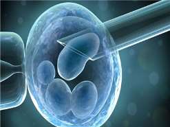 宝宝湿疹怎么护理(蚊子咬吃西替利嗪管用吗)