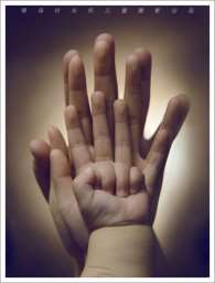 国内试管婴儿胚胎冷冻的价格是多少？