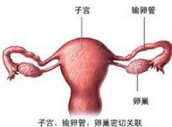 北京妇产医院试管费用 北京妇产医院试管成功率