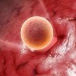 【热点推荐】胚胎染色体不好要做三代吗-每天喝豆浆能助孕吗 【热点推荐】胚胎染色体不好要做三代吗-每天喝豆浆能助孕吗