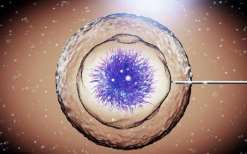 雅安抗精子抗体阳性三代试管费用？