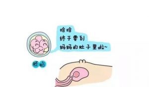 沈阳中医二院试管龙凤胎费用详情参考？