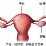 做试管婴儿怀孕保胎多久 怀孕初期褐色分泌物 做试管婴儿怀孕保胎多久 怀孕初期褐色分泌物