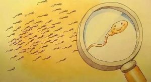 三代试管取卵10个能配成几个 试管取了10个卵泡配成2个是为什么