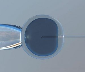 新生儿睡觉时候有什么需要注意的吗(新生儿的睡眠时间)