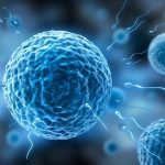 上海基因有问题能做试管吗_正规助孕公司 上海基因有问题能做试管吗_正规助孕公司