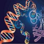 怀孕流鼻血如何处理(怀孕准备前调理身体生男孩子) 怀孕流鼻血如何处理(怀孕准备前调理身体生男孩子)