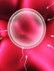 河北三代试管选性别机构，河北生殖妇产医院试管大概多少钱