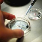 精子能放冰箱进行冷冻储藏吗 精子能放冰箱进行冷冻储藏吗