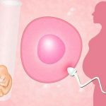 解读一下!沈阳三代试管的过程和费用?