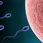 了解一下!天津胚胎染色体有问题要做三代吗?