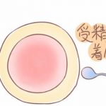 泉州中医院张嘉男 泉州中医院生殖科张云榕 泉州中医院张嘉男 泉州中医院生殖科张云榕