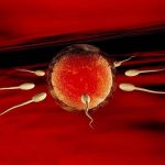 「多囊患者」想要调理好多囊 「多囊患者」想要调理好多囊