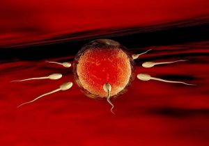 「多囊患者」想要调理好多囊