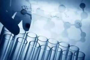 冷冻胚胎、新鲜胚胎、囊胚！ 移植哪一步到位？