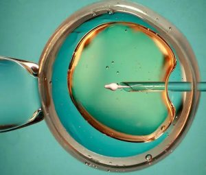 济南捐卵试管价格-山东济南正规生殖机构三代试管费用多少？