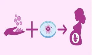 染色体异常泰国三代试管婴儿成功率如何？