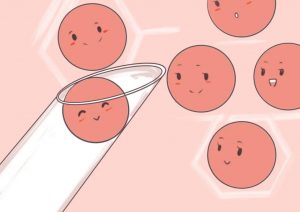 染色体问题供卵-福州染色体缺失可以做供卵试管吗？ 供卵试管成功率高吗？