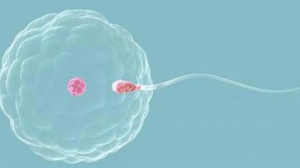 2023年广西三代试管试管婴儿男科医院最新名单附10家助孕机构名单