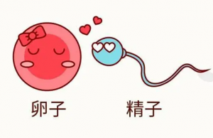 做三代试管婴儿有必要放低调吗？  #不孕不育