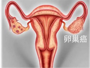 长春高陵三代试管试管婴儿成功率_正规生育机构