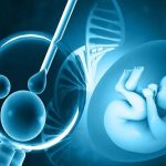 64岁还能生孩子吗? 专家告诉你,试管婴儿的成功率取决于这些因素! 64岁还能生孩子吗? 专家告诉你,试管婴儿的成功率取决于这些因素!