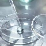 卵泡发育不良的女性可以用作供卵试管吗? 卵泡发育不良的女性可以用作供卵试管吗?