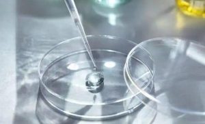 卵泡发育不良的女性可以用作供卵试管吗？