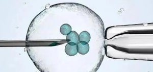 【原创】试管婴儿助孕十大问题