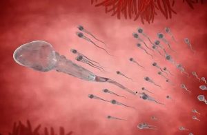 试管婴儿能生双胞胎吗？专家说出真相