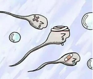 三代试管，之前的检查都正常，囊胚染色体异常 三代试管，囊胚染色体筛查有问题