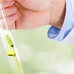 试管婴儿取卵操作和流程是怎样的? 有什么问题? 试管婴儿取卵操作和流程是怎样的? 有什么问题?