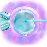 80岁高龄老太卢光秀:“试管婴儿之母”预见你想象不到的未来|柯长沙 80岁高龄老太卢光秀:“试管婴儿之母”预见你想象不到的未来|柯长沙