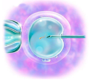 80岁高龄老太卢光秀：“试管婴儿之母”预见你想象不到的未来|柯长沙