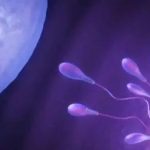 供卵试管冷冻胚胎移植的流程是什么