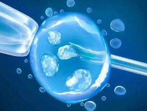 湖北武汉生男孩15万试管费用是谣言，附2023第三代试管男孩攻略